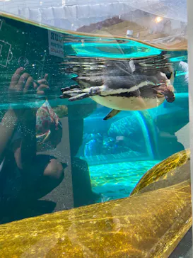 天王寺動物園に投稿された画像（2023/5/4）