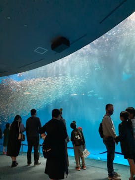 名古屋港水族館に投稿された画像（2023/5/4）