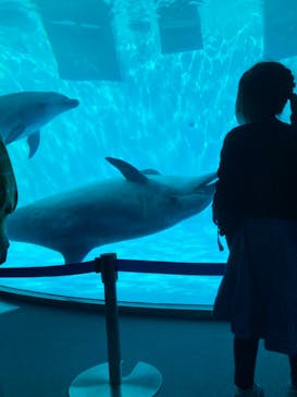 名古屋港水族館に投稿された画像（2023/5/4）