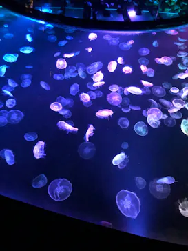 すみだ水族館に投稿された画像（2023/5/4）