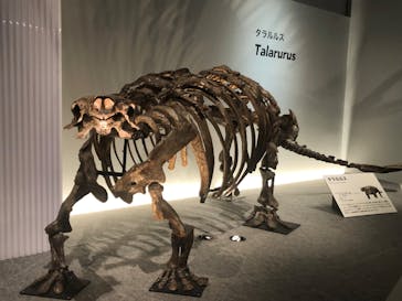 国立科学博物館に投稿された画像（2023/5/4）