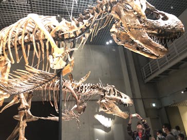 国立科学博物館に投稿された画像（2023/5/4）