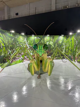 ひらかたパークに投稿された画像（2023/5/4）