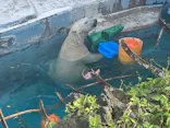 天王寺動物園に投稿された画像（2023/5/4）