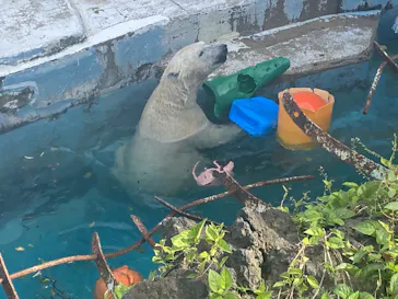 天王寺動物園に投稿された画像（2023/5/4）