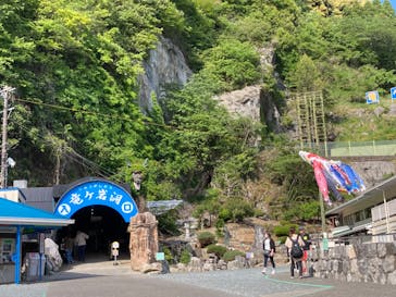 はままつフラワーパークに投稿された画像（2023/5/4）