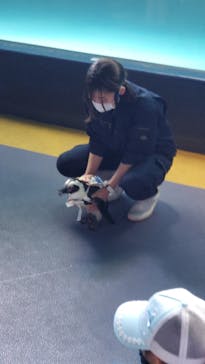 箱根園水族館に投稿された画像（2023/5/4）