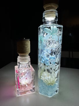 ずこうしつ〜sugamo〜に投稿された画像（2023/5/4）