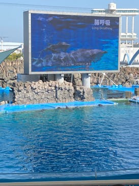 名古屋港水族館に投稿された画像（2023/5/4）