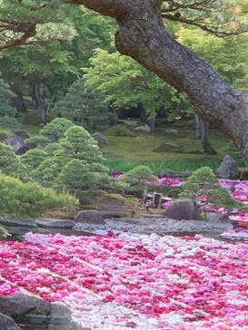 日本庭園　由志園に投稿された画像（2023/5/4）