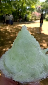 京成バラ園に投稿された画像（2023/5/4）