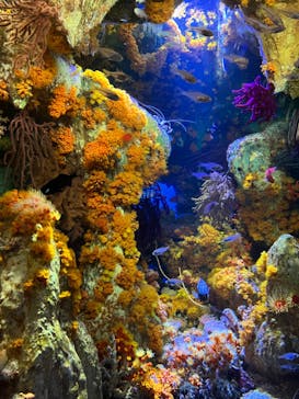 サンシャイン水族館に投稿された画像（2023/5/4）