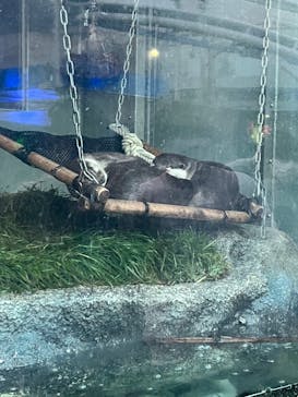 サンシャイン水族館に投稿された画像（2023/5/4）