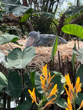 神戸どうぶつ王国に投稿された画像（2023/5/4）