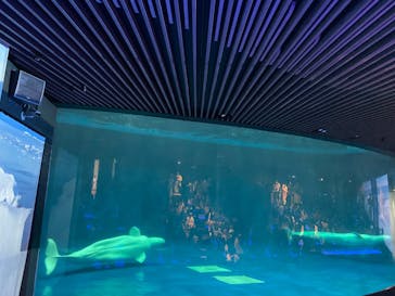 島根県立 しまね海洋館に投稿された画像（2023/5/4）