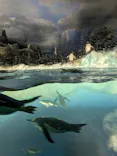 名古屋港水族館に投稿された画像（2023/5/4）