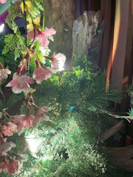 NARA KINGYO MUSEUMに投稿された画像（2023/5/4）