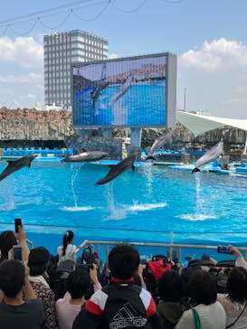 名古屋港水族館に投稿された画像（2023/5/4）