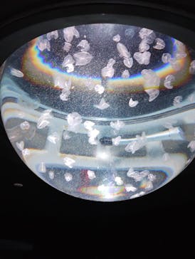 サンシャイン水族館に投稿された画像（2023/5/4）