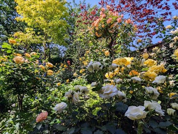 横浜イングリッシュガーデンに投稿された画像（2023/5/4）