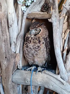 横浜・八景島シーパラダイスに投稿された画像（2023/5/4）