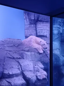 横浜・八景島シーパラダイスに投稿された画像（2023/5/4）