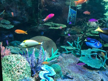 サンシャイン水族館に投稿された画像（2023/5/4）