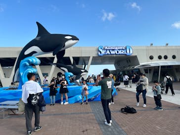 鴨川シーワールドに投稿された画像（2023/5/4）