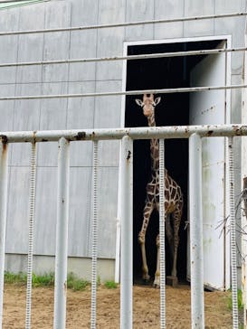 九十九島動植物園森きららに投稿された画像（2023/5/4）