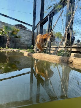 日立市かみね動物園に投稿された画像（2023/5/4）