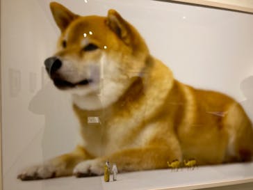 MINIATURE LIFE展 ー田中達也 見立ての世界ーに投稿された画像（2023/5/4）