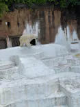 天王寺動物園に投稿された画像（2023/5/4）