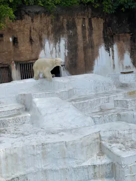 天王寺動物園に投稿された画像（2023/5/4）