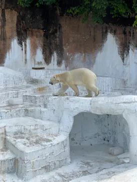 天王寺動物園に投稿された画像（2023/5/4）
