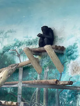 天王寺動物園に投稿された画像（2023/5/4）