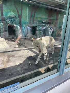 天王寺動物園に投稿された画像（2023/5/4）