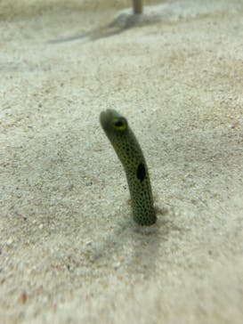 アクアワールド茨城県大洗水族館に投稿された画像（2023/5/4）