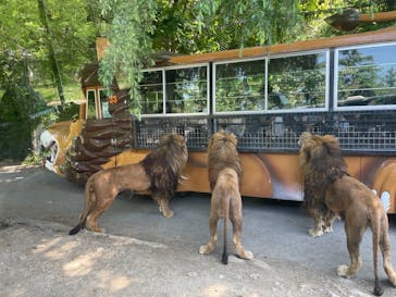 群馬サファリパークに投稿された画像（2023/5/4）