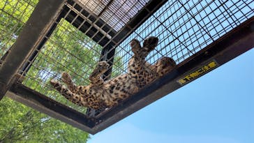 群馬サファリパークに投稿された画像（2023/5/4）