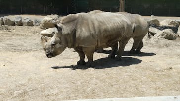 群馬サファリパークに投稿された画像（2023/5/4）