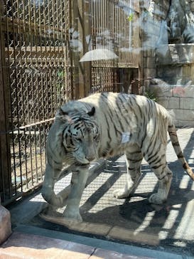 東武動物公園に投稿された画像（2023/5/4）