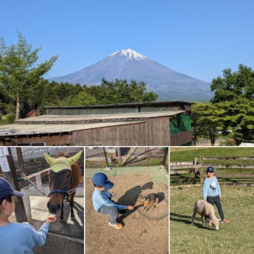 まかいの牧場に投稿された画像（2023/5/4）