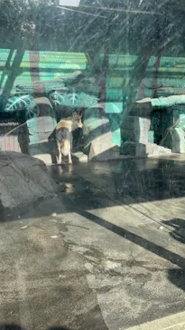 天王寺動物園に投稿された画像（2023/5/4）