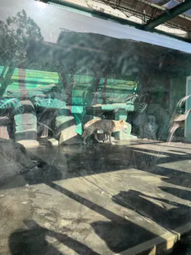 天王寺動物園に投稿された画像（2023/5/4）