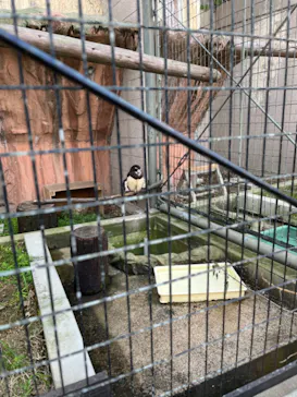 天王寺動物園に投稿された画像（2023/5/4）