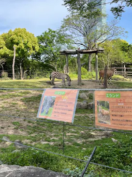 天王寺動物園に投稿された画像（2023/5/4）