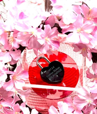 梅田スカイビル・空中庭園展望台に投稿された画像（2023/4/13）