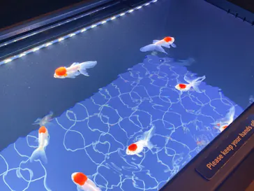 すみだ水族館に投稿された画像（2023/5/4）