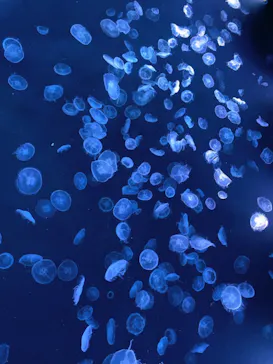 すみだ水族館に投稿された画像（2023/5/4）