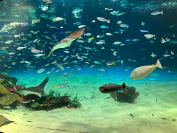 サンシャイン水族館に投稿された画像（2023/5/4）
